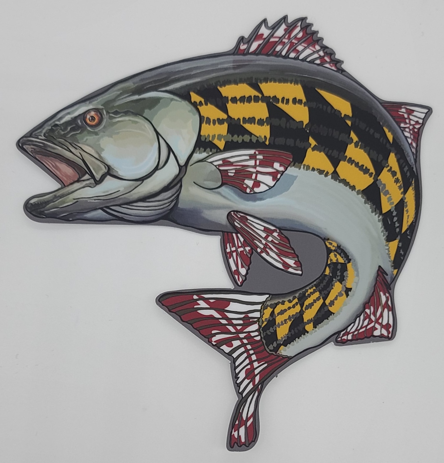 Saltwater Fish Decals – tagged decal – Thunderbird Design Studio
