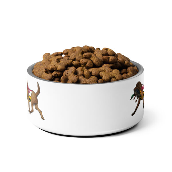 md chessie pet bowl