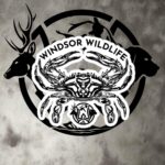 ww crab bubble free stickers