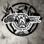 bubble free stickers