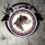 va mallard bubble free stickers
