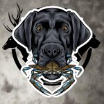 nc lab crab (black) bubble free stickers
