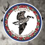 va goose bubble free stickers