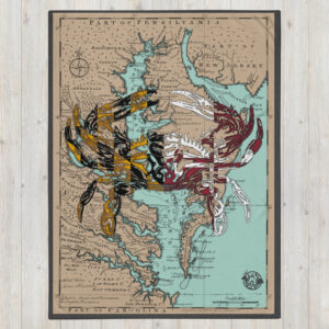 md chesapeake bay map crab throw blanket