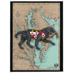 md bay map black lab throw blanket 60" x 80"