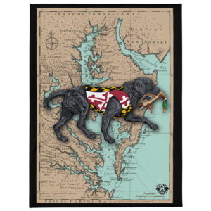 md bay map black lab throw blanket 60" x 80"