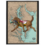 md bay map chesapeake bay retriever throw blanket 60" x 80"