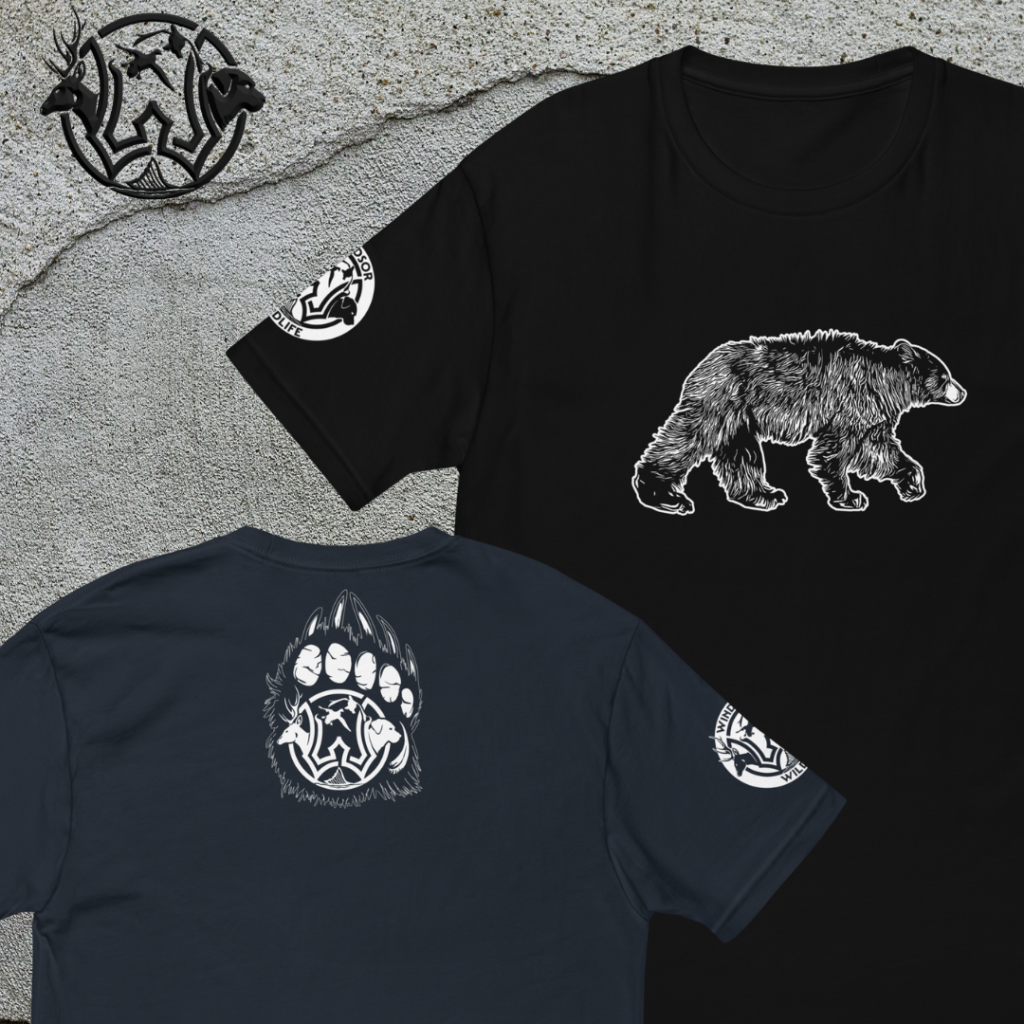 bear short sleeve t shirt darks