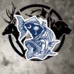sc striper decal