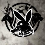 duckboy decal