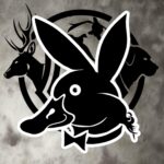 duckboy decal